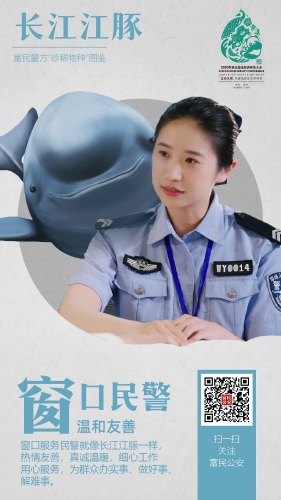 2长江江豚-窗口服务 2长江江豚-窗口服务