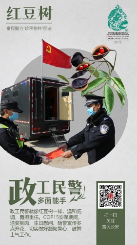 3红豆杉-政工民警 3红豆杉-政工民警