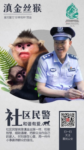 5滇金丝猴-社区民警 5滇金丝猴-社区民警