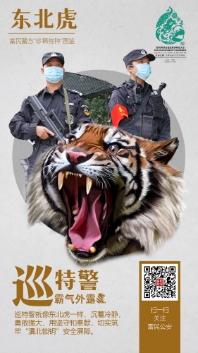 7东北虎-巡特警 7东北虎-巡特警