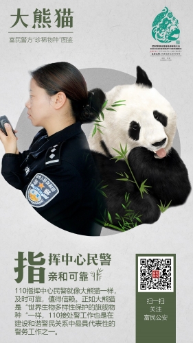 8大熊猫-接处警 8大熊猫-接处警