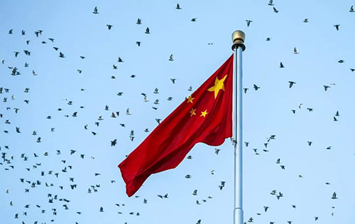 图片12